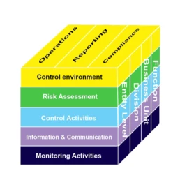 How to implement the COSO framework - Polonious