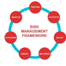 What is the risk management framework? - Polonious